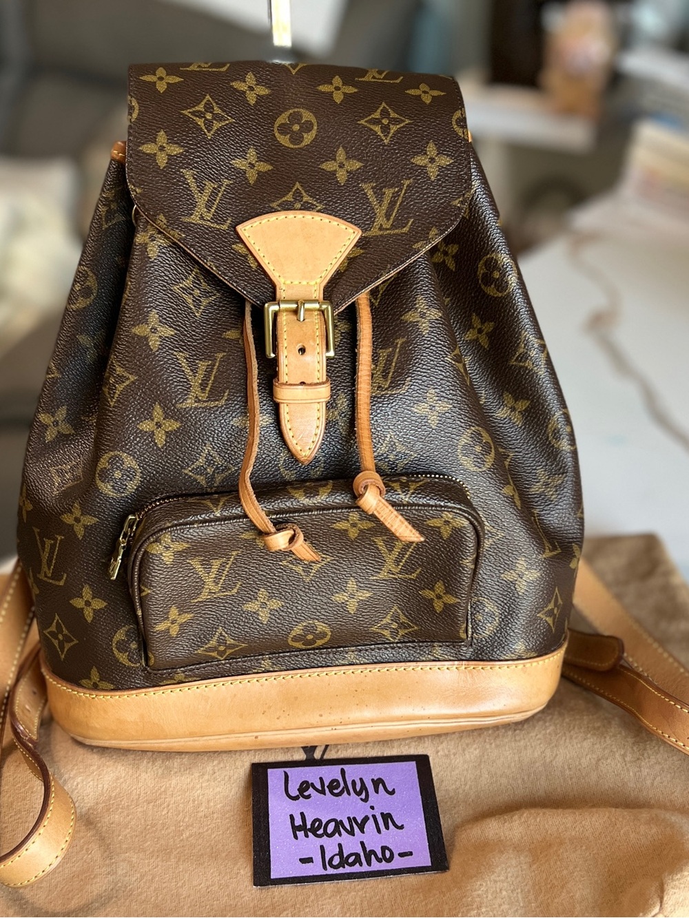Authentic Louis Vuitton Montsouris MM Monogram